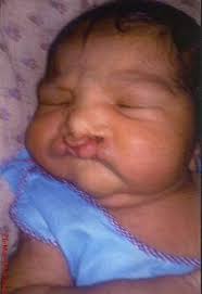 The Global Digest: Bulletin Board