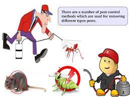 It's a common method that eliminates rat populations, termites, ants, and many other pests. Various Types Of Pest Control Methods