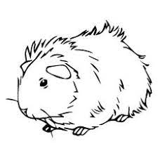 Склонение das meerschweinchen n, существительное. 29 Ausmalbilder Ideen Ausmalbilder Ausmalen Bilder