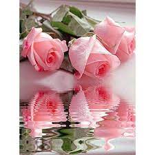 We did not find results for: Flower Pink Diamond Painting Kit Diy Diamond Painting Kits