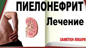 как вылечить простуду за один день в домашних условиях Chem Lechit Pielonefrit V Domashnih Usloviyah Travolechenie Zdorove