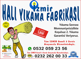 Bunun karşılığında halı dokularında toz, kir, kırıntı, evcil hayvanlarımızın tüyleri gibi partikülleri bunlara çözüm olarak neler yapabileceğimizi ele alacağız. Hali Neyle Silinirse Temiz Olur Izmir Hali Yikama Fabrikasi