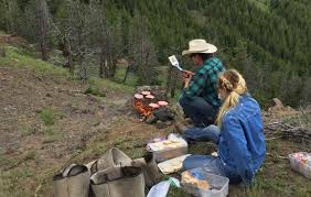 Maybe you would like to learn more about one of these? Horseback Riding Trail Rides Horseback Riding Bill Cody Ranch