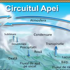 We did not find results for: Circuitul Apei The Water Cycle Romanian