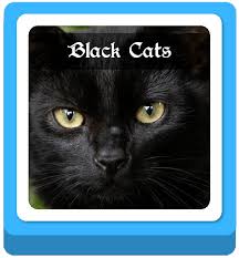 Boy cat names fit for a king! Warrior Cats Name Generator 100 Warrior Cat Names Imagine Forest