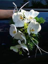 Möchtet ihr für euren hochzeitsstrauß orchideen haben? Hochzeitsstrauss Mit Orchidee Blumenspezi