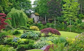 Bel arbre à feuillage persistant, le magnolia (magnolia grandiflora) s'utilise pour ombrer un jardin dans les régions tempérées car l'arbre est gélif. Des Arbres Et Des Arbustes Originaux Pour Le Jardin