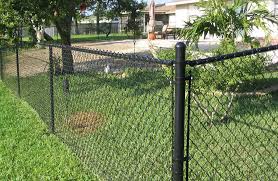 4 Foot Black Chain Link Fence Gate Chain Link Fence Buyers Guide Black Chain Link Fence Chain Link Fence Painted Chain Link Fence