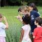 Homeschool Nature Explorers event image