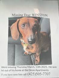 Lost & Found Pets of King County