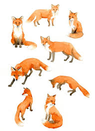 Original Page Of Watercolor Studies Of Foxes Watercolor Fox Fox Art Animal Art