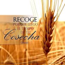 Tiempo De Cosechar Christian Messages God Loves Me Biblical Inspiration