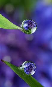 What A Wonderful World Dew Drops Water Droplets Water Art