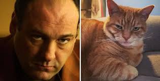 Character appearance in post-apocalyptic setting