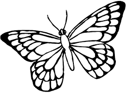 The underside of the blue morpho's wings is a dull brown color with many. Butterfly Coloring Page The Sun Flower Pages