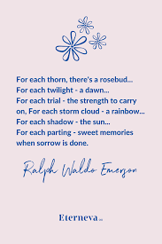 See more ideas about rainbow bridge, pet memorials, pet loss. Quotes About Grief Why They Helped People Cope 2020 Eterneva