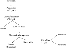 flow chart of milk processing steps for manufacture of