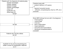 patient flowchart cp cerebral palsy cpa cardiac