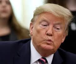 Jacqueline Reisinger's Instagram, Twitter & Facebook