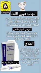 التهاب العين القطط Ointment Dji Mobile Boarding Pass