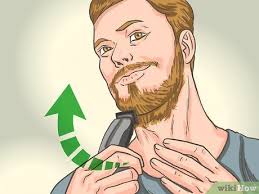This beard style comes directly from france. How To Style A Beard With Pictures Wikihow