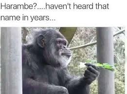 15 Of The Best I Haven T Heard That Name In Years Memes Funny Memes Memes Funny