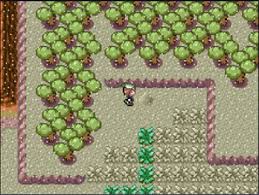 Pokemon Emerald Part #19 - Eight Floors Of Evil Hideouts