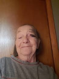 A bus drove off the road in Glendowie and through a pohutukawa tree.