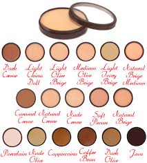 Paramedical Camouflage Cosmetic Makeup Color Selection Chart