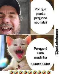 💎 Bom dia! Viver a vida é enfrentar os desafios com coragem e  perseverança, nunca desistindo dos seus sonhos.