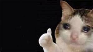Thumbs Up Crying Cat Know Your Meme