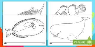 Finn and jake the dog, princess bubblegum and marceline the vampire, among others join us as we color our way out of trouble. Under The Sea Adventure Coloring Pages Teacher Made