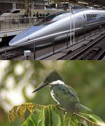 Biomimicry In Action 13 Technologies Inspired By Nature Bionic Design Biomimicry Examples Nature Inspiration