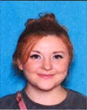 Alabama Law Enforcement Agency Online Services