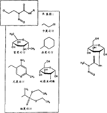 CN101080246A - 用于形成交联生物材料的组合物和系统及关联的制备方法与用途- Google Patents