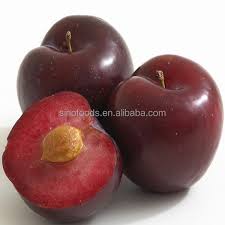 The next best thing to shopping in person at our retail nursery only 2 hours from brisbane. Li Zi Zhong Zi Natural Plum Seed For Hybrid Fruit Trees Buy Hybrid Fruit Trees Plum Seeds Fruit Seeds For Sale Product On Alibaba Com