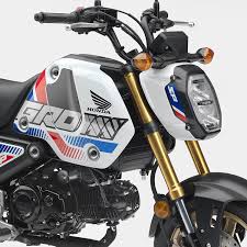 It starts easily and runs well. 2022 Grom Overview Honda