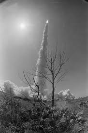 Image result for Black 1983 Challenger