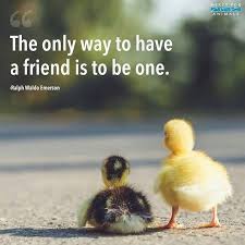 Noanimalcrueltynoanimaltestingnoanimalproductsnoanimalingredientsveganvegansofignewvegangovegancrueltyfreeveganbe Mercy For Animals Animals Kawaii Animals