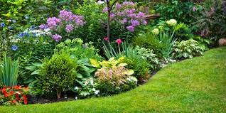 Start with a statement tiled or stenciled floor and paint walls rich apricot yellow. 10 Steps To Creating A Beautiful Rain Garden Beautiful Boundaries