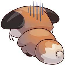 magazin stikerov vkontakte v 2020 g illyustracii lisy smeshnye svini milye karakuli