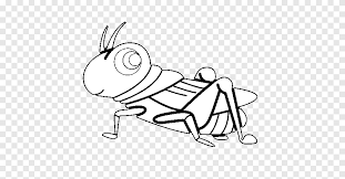 Semut memiliki kepala besar dengan mata majemuk, antena siku, dan rahang yang kuat. Menggambar Buku Mewarnai Serangga Semut Dan Belalang Gambar Belalang Sudut Putih Png Pngegg