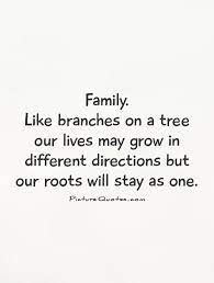 Categories all picture quotes, family picture quotes, life picture quotes. Quotes About Tree Branches Quotesgram