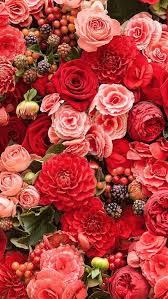 Iphone Wallpaper Flowers Flower Wallpaper Red Flowers Flowers