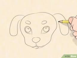 But it's important to remember that these animals move differently and look very different from each other. How To Draw A Cute Puppy Wikihow