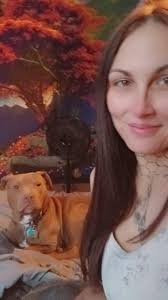 Lost Dogs in Valley Grande and Summerfield