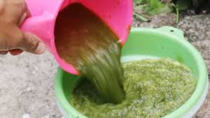 Ebook ini mengajarkan kepada anda 4 metode secara mendetail tentang cara membuat pupuk organik dengan teknologi terbaru yang praktis dan efisien dengan memanfaatkan. Membuat Pestisida Nabati Efek Lebih Kuat Lombok Organik