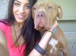 Canine behavior explained by Professor Abrantes