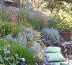 Wildlife Garden Design Tip Choose A Simple Color Palette North Coast Gardening Garden Landscape Design Rock Garden Design Native Garden