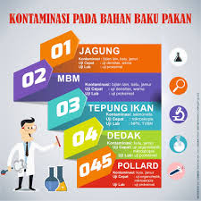 Secara garis besar sapi bisa digolongkan menjadi 3 kelompok, yaitu. Menjaga Mutu Bahan Pakan Ternak Portal Agribisnis Indonesia